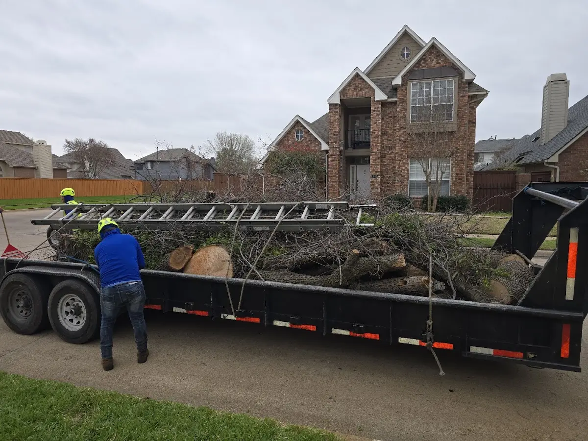Expert Tree Fertilization with proper safety equipment in Adams
